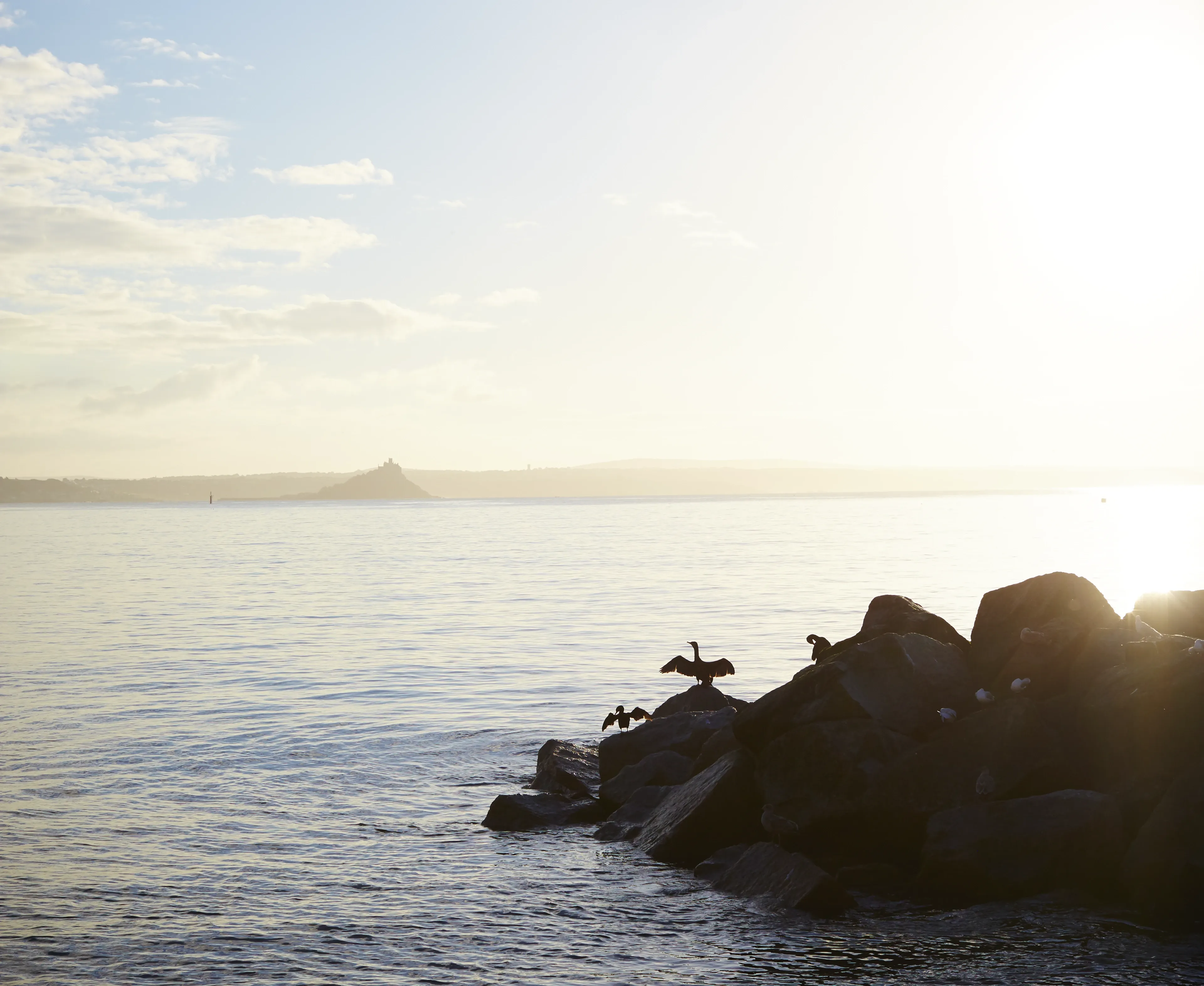 Birds perch on sunlit rocks by calm water with distant land under a bright sky.