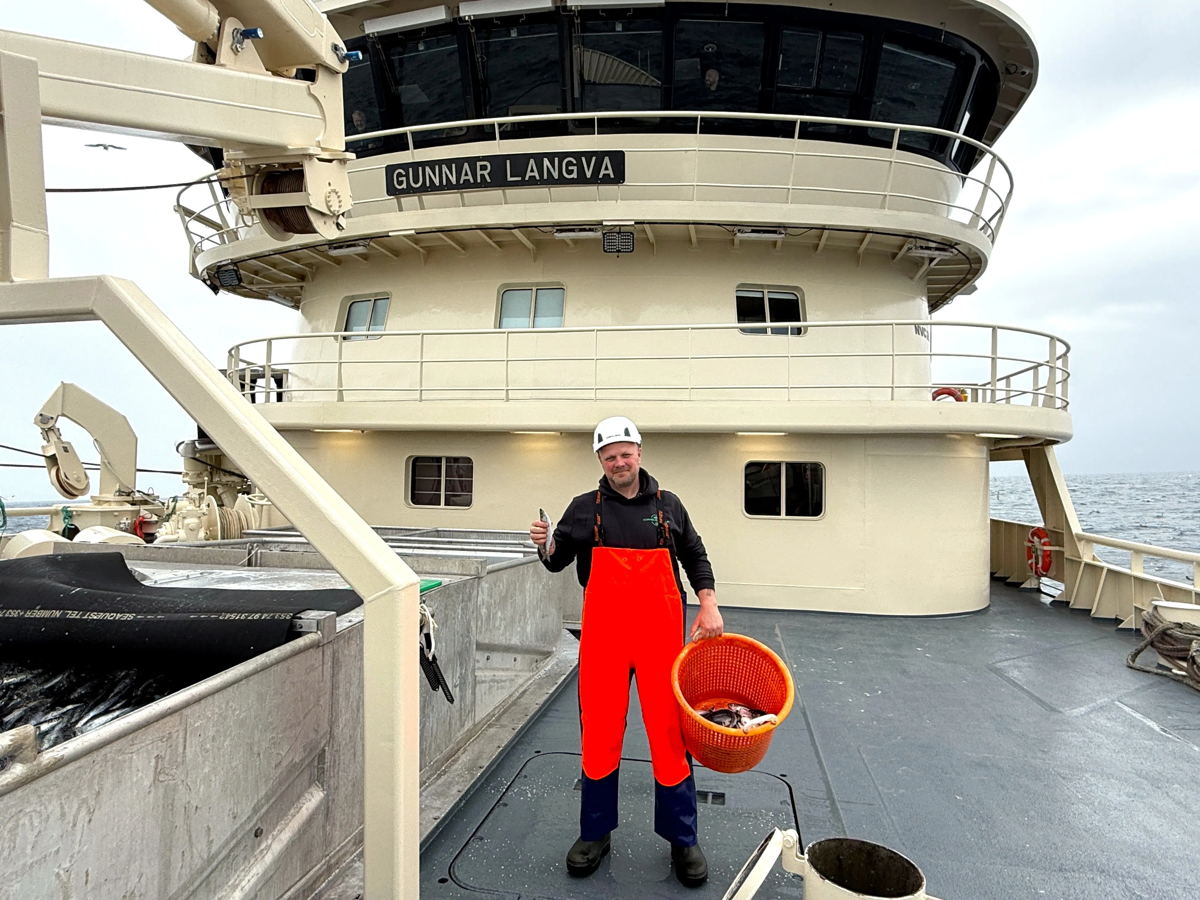 https://fishtales-space.ams3.digitaloceanspaces.com/b1f08cf28d5a44a76946729381cae185.webp
